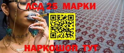 apvp Кингисепп
