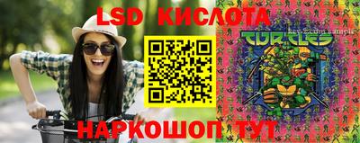 индика Кимры