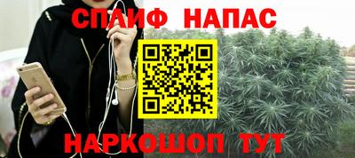 apvp Кингисепп