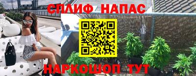прущие грибы Кинель