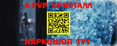 apvp Кингисепп